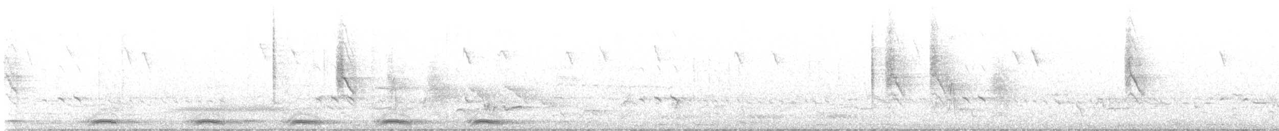 turako Schalowův - ML643635061