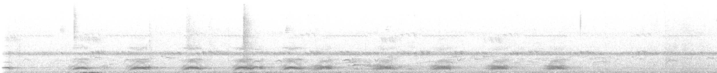 turako Schalowův - ML643635100