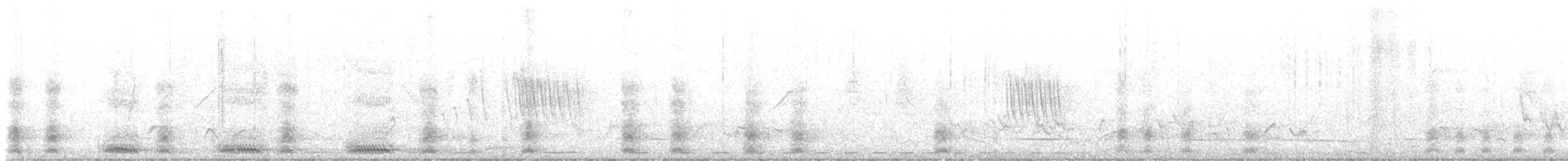 turako Schalowův - ML643635137