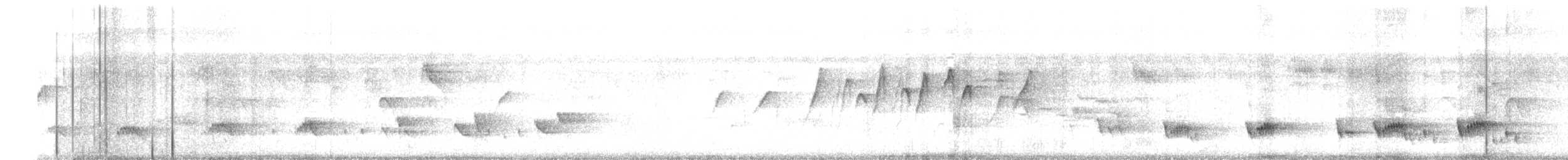 Drongo bronzé - ML643636424