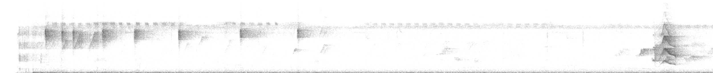 Épervier shikra - ML643636572