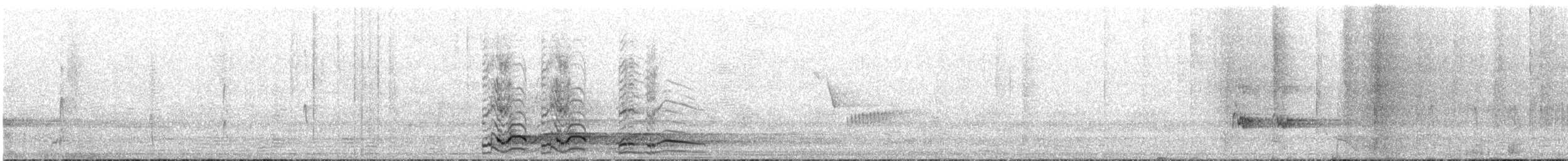 Pied Currawong - ML643637158