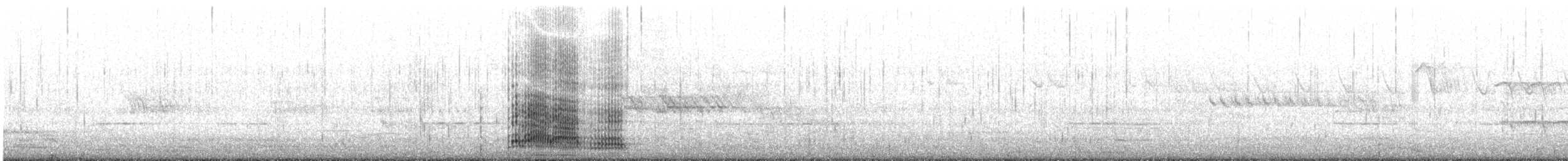Pied Cormorant - ML643637977