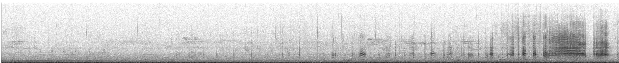 Pied Cormorant - ML643638046