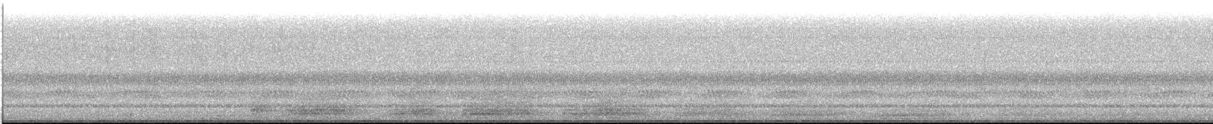 Koartza hauskara amerikarra - ML643638209