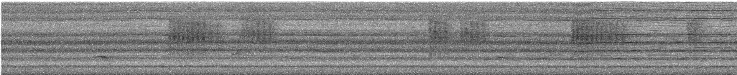 Taiwan Barwing - ML643638409