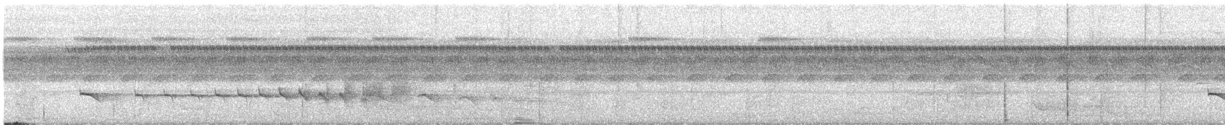 Manicore Warbling-Antbird - ML643639607