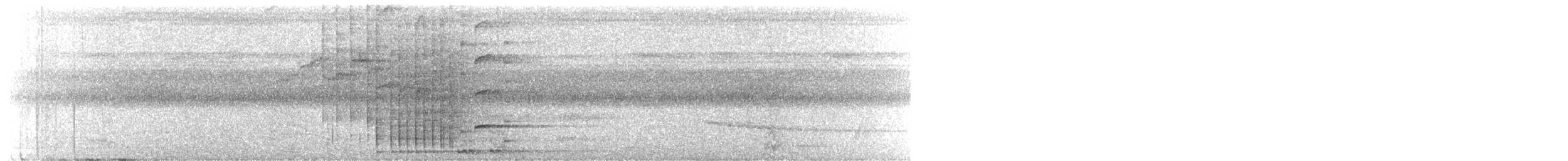 チャバラオオツリスドリ - ML643639636