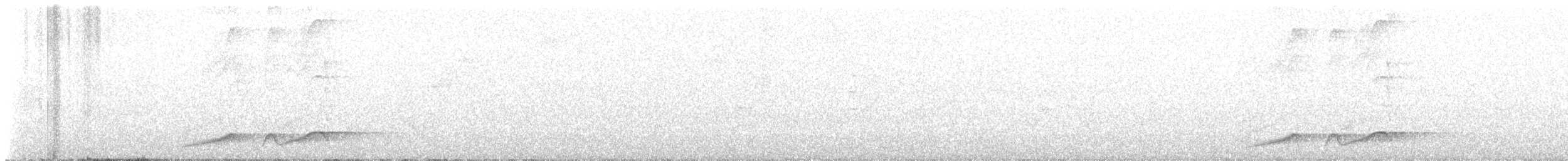 Noisy Pitta - ML643639877