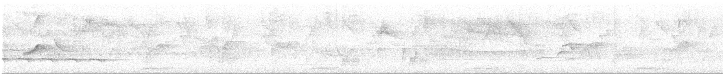 Weißbinden-Ameisenvogel - ML643641349