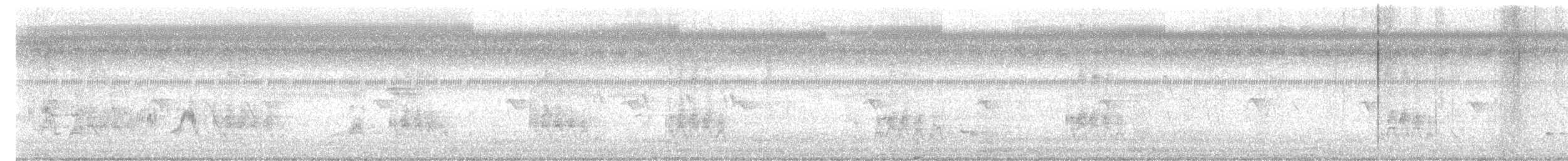 Spotted Owlet - ML643641804