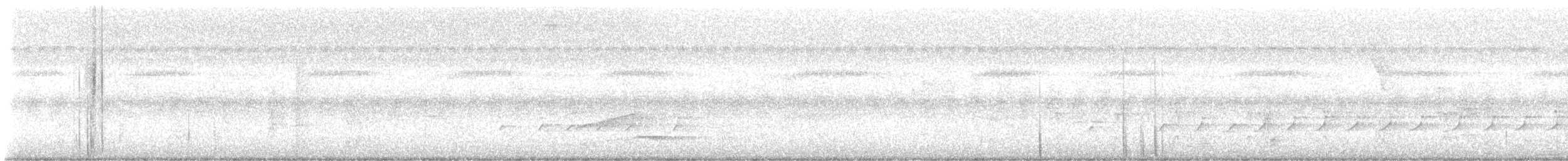 Piratic Flycatcher - ML643641858