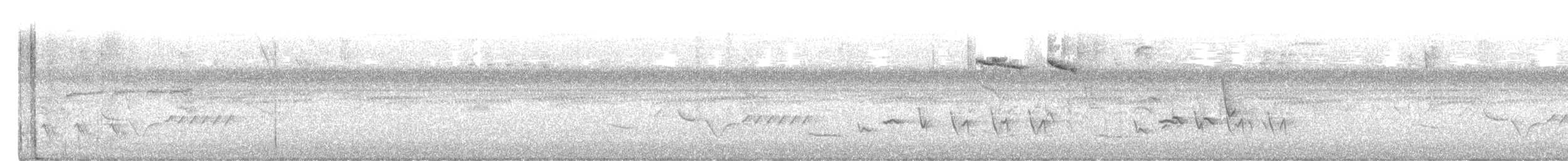Black-striped Sparrow - ML643641918