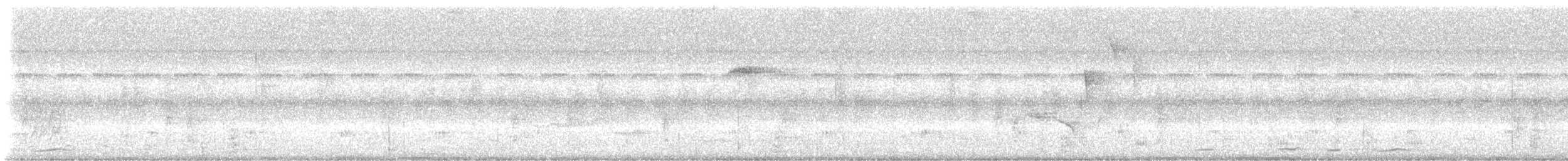 holub krátkozobý - ML643642360