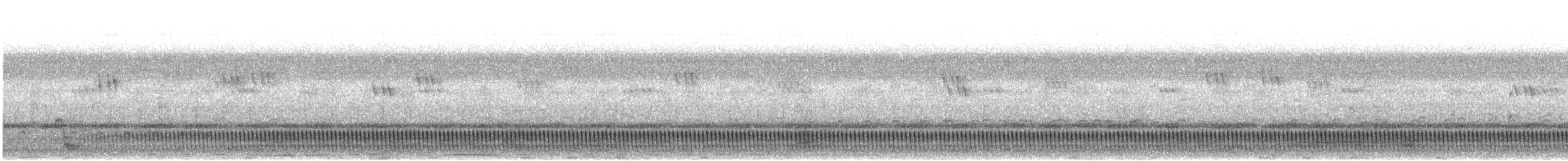 langstjertnattravn - ML643643394