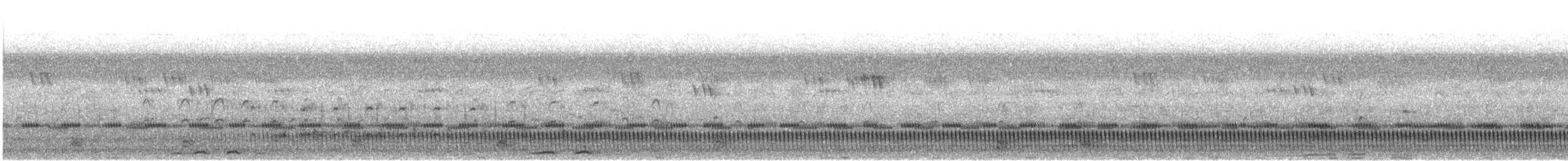 langstjertnattravn - ML643643490