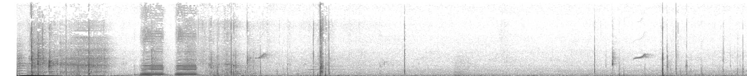 Pouillot à grands sourcils - ML643646421