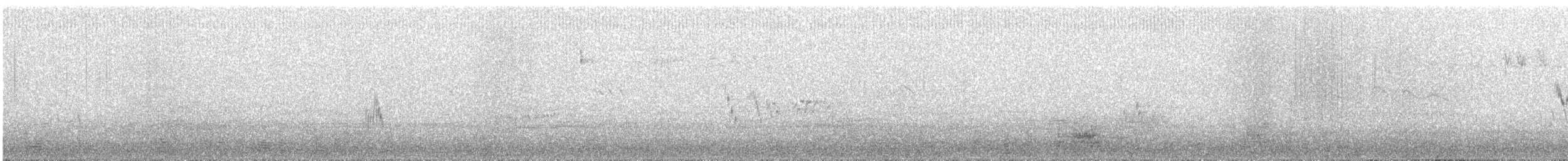 sanglerke - ML643647222