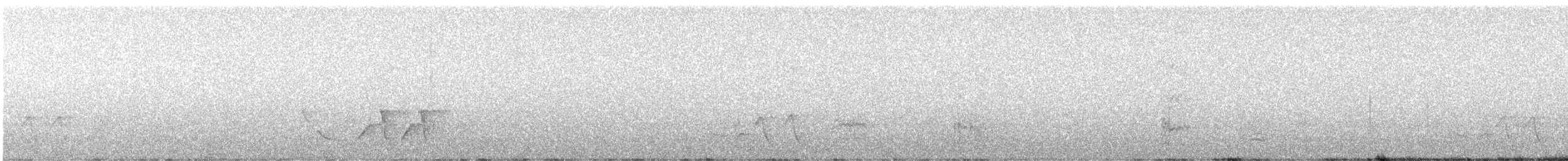 skjeggsmett - ML643647594