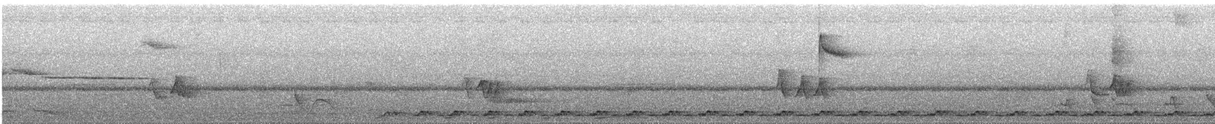 gråtannvaktel - ML643647900