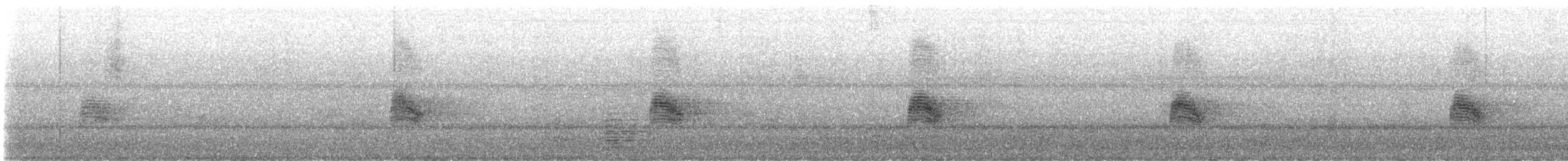 nordnatthauk - ML643648116