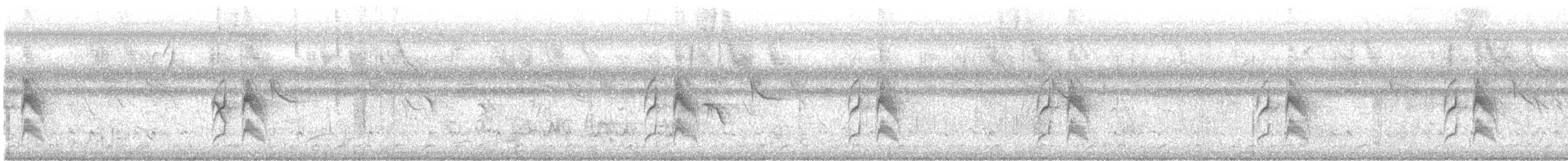 krattstifthale - ML643648494
