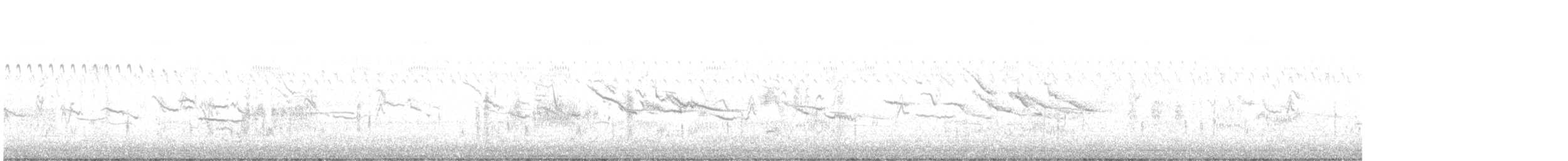 englerketrupial - ML643648636