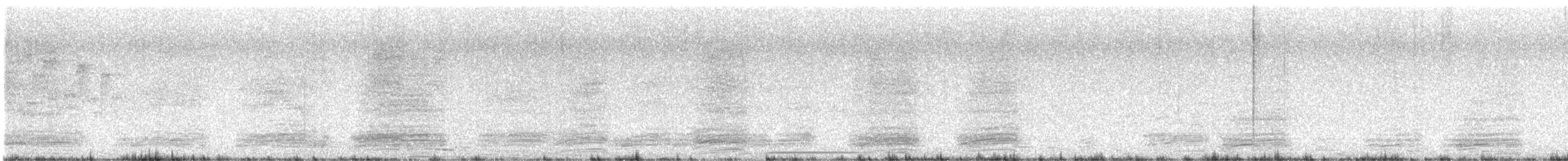 Pied Crow - ML643649605