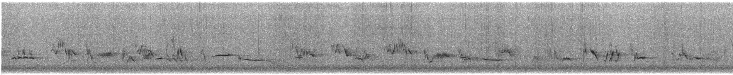 lesňák západní - ML643649845