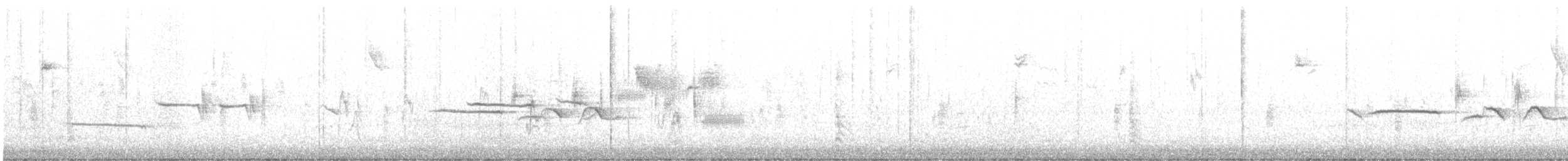 White-crowned Sparrow - ML643650091
