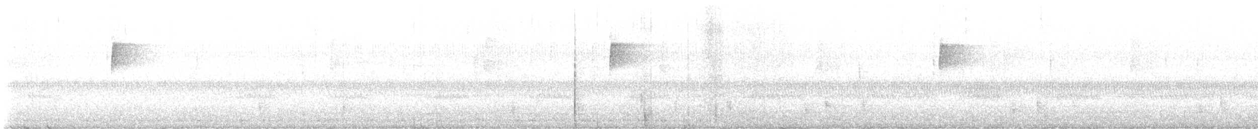 Hermit Thrush - ML643650204