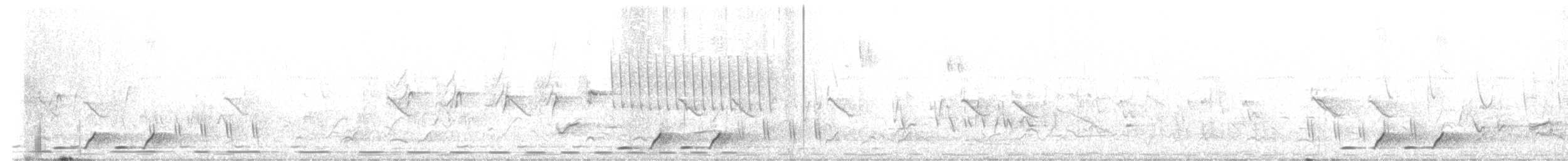 Doppelbandwürger - ML643650420