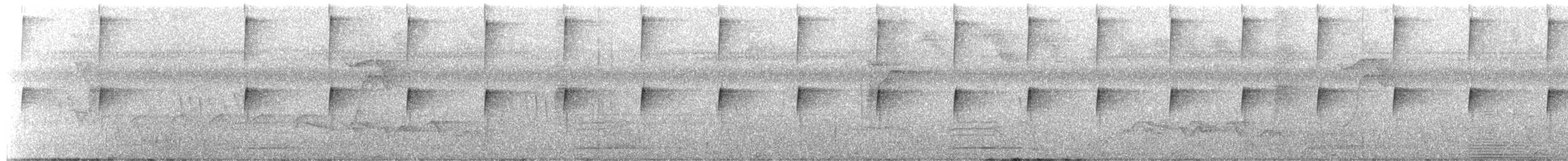 Yellow-browed Tody-Flycatcher - ML643650641