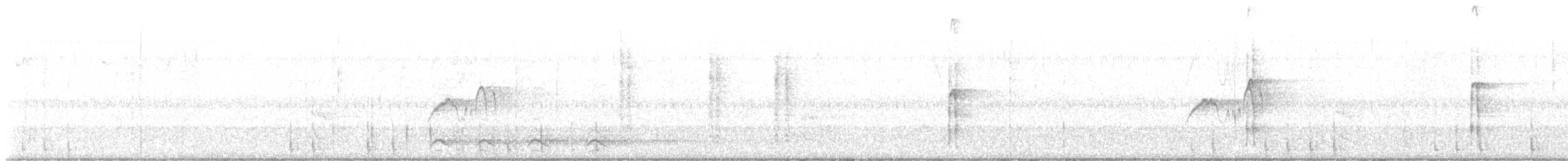 Hairy Woodpecker - ML643651715