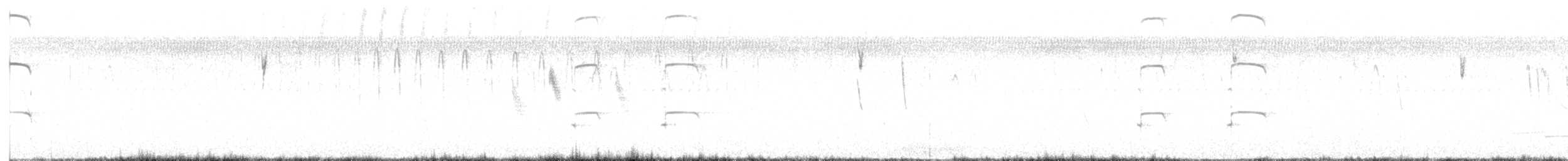 Striped Cuckoo - ML643652655