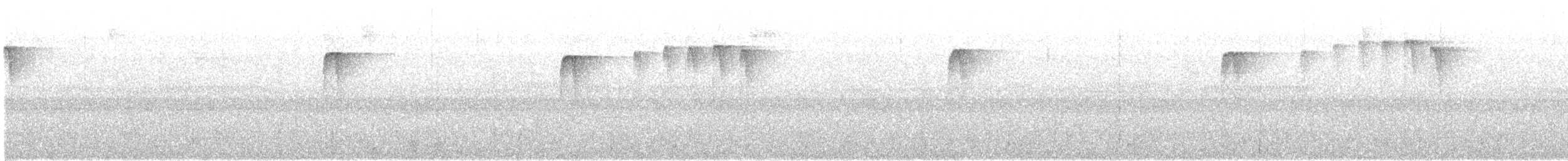 Spotted Barbtail - ML643654357