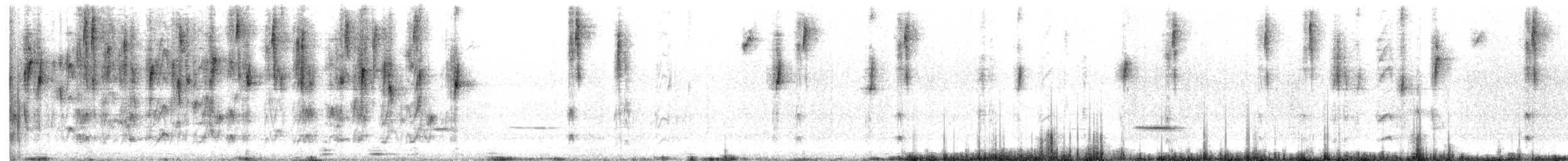 kukačka žíhaná - ML643655285