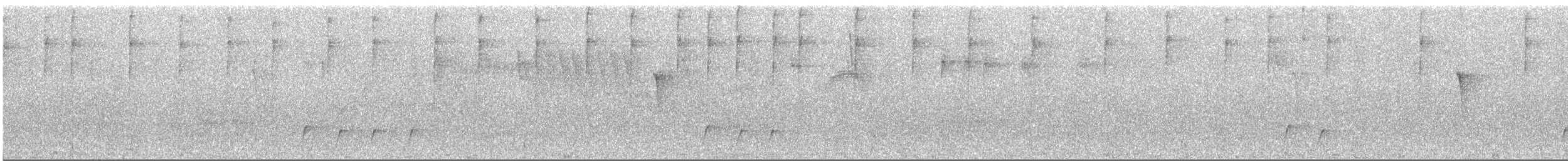 Whiskered Wren - ML643655786