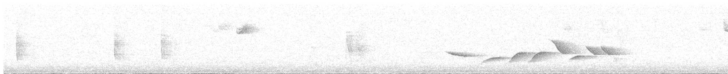 Fox Sparrow - ML643657125