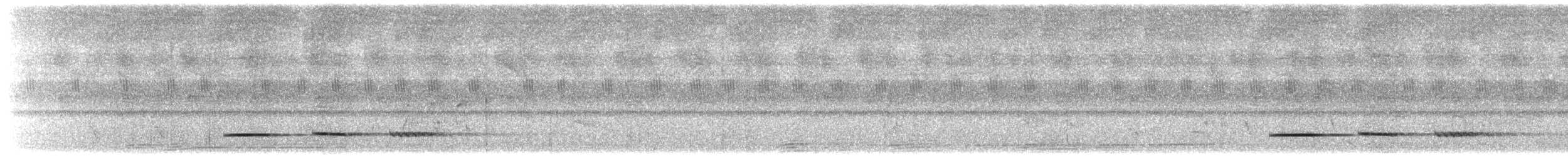 Pheasant Cuckoo - ML643657384