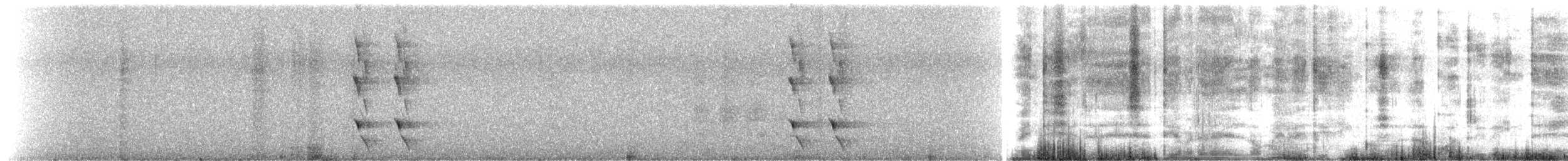 plysjskrike - ML643658048