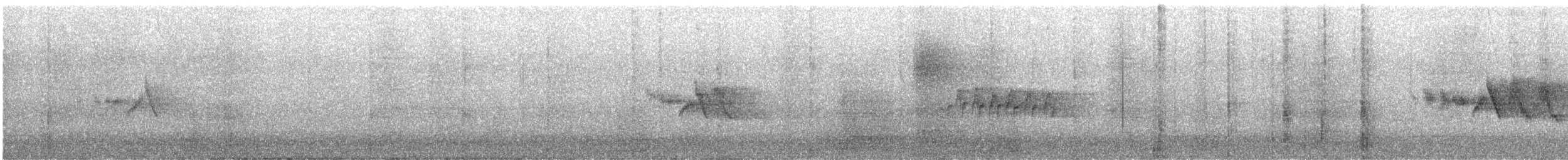 rehek domácí - ML643659747