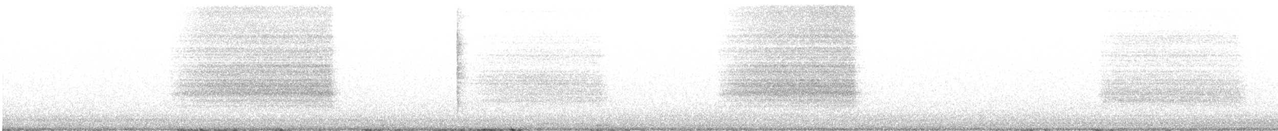 Western Barn Owl - ML643659782