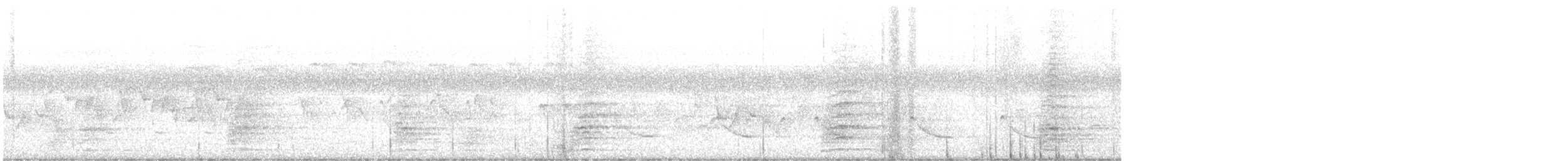 Koartza hauskara amerikarra - ML643660014