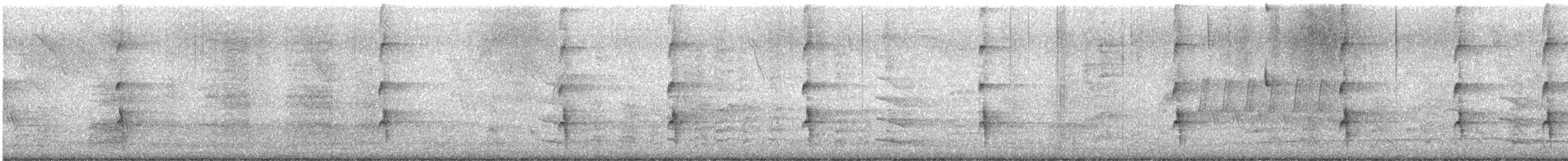 Stripe-backed Wren - ML643661024