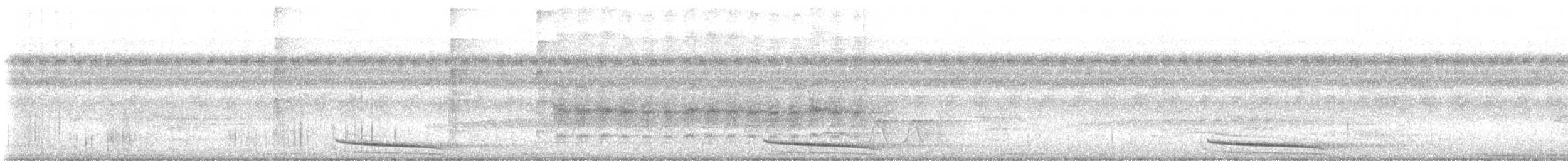 Long-billed Gnatwren - ML643661138