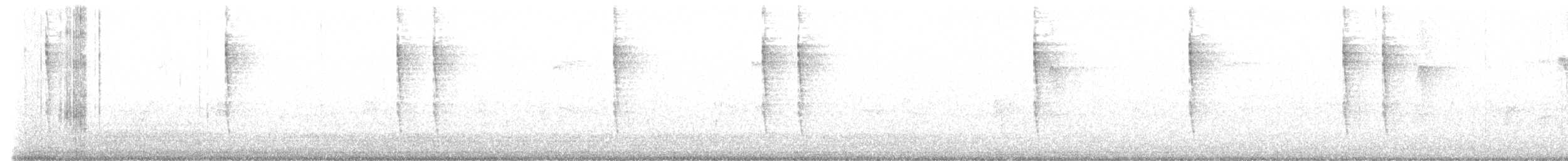 Pacific Wren - ML643662055