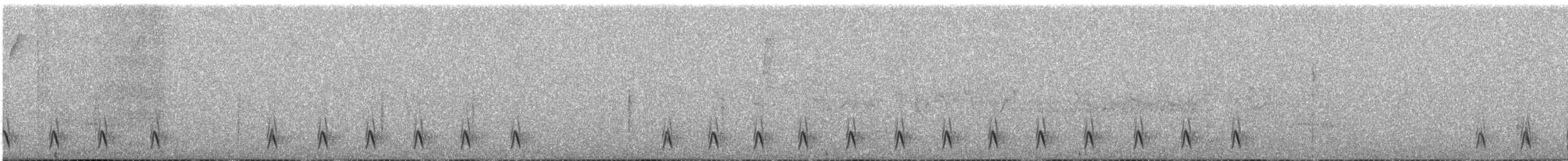 Blackish Tapaculo - ML643662313