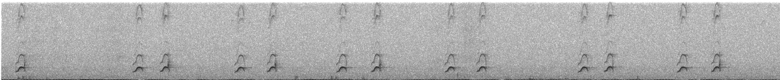 Blackish Tapaculo - ML643662315