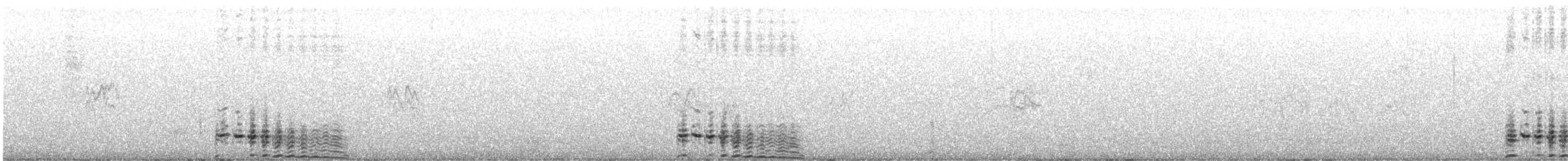 Sooty Grouse - ML643663290